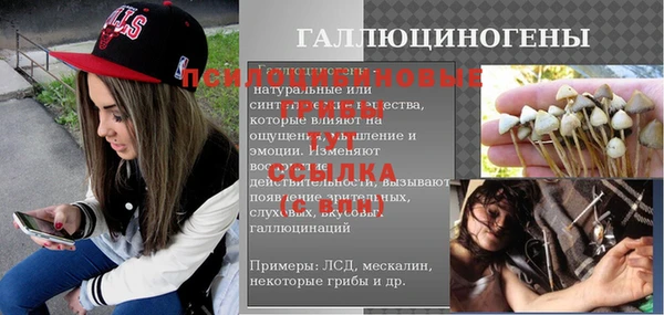 2c-b Алзамай