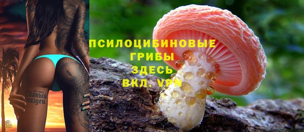 ALPHA PVP Арсеньев